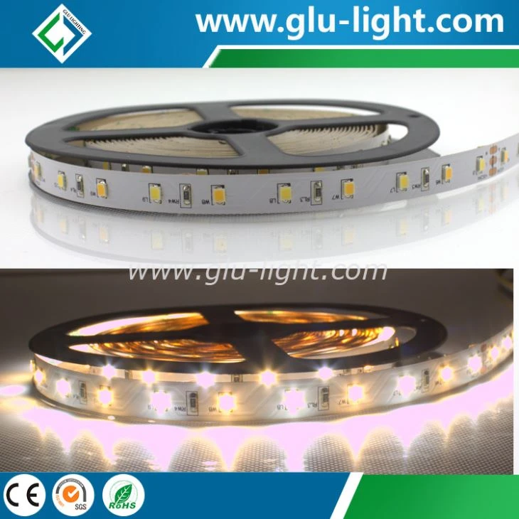  High power 0.5w 2835 Samsung led ribbon light 