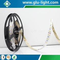 Pencahayaan Led Hibrid DC24V 5630 2-in-1 yang disesuaikan untuk Industri Flim